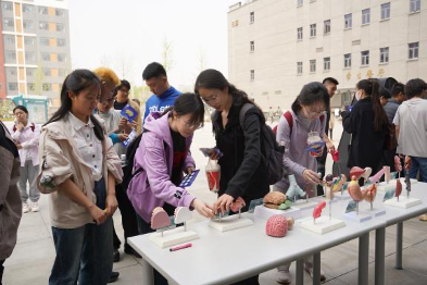 bb电子游戏官网(中国)官方网站